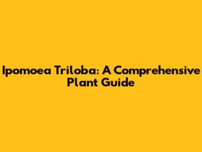 Ipomoea Triloba: A Comprehensive Plant Guide