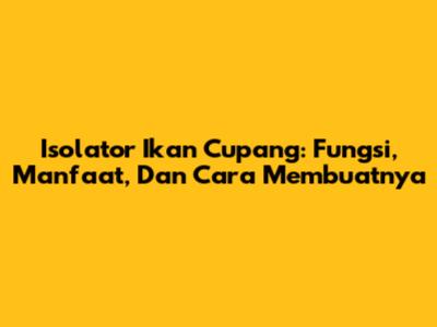 Isolator Ikan Cupang: Fungsi, Manfaat, Dan Cara Membuatnya