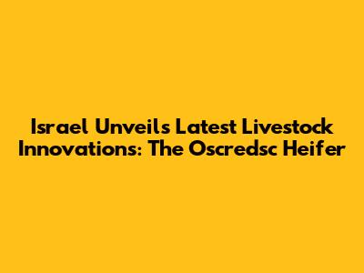 Israel Unveils Latest Livestock Innovations: The "Oscredsc" Heifer