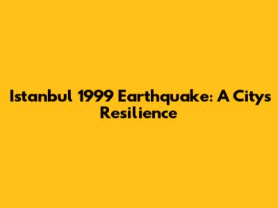Istanbul 1999 Earthquake: A City's Resilience