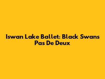 Iswan Lake Ballet: Black Swan's Pas De Deux