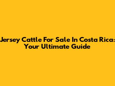 Jersey Cattle For Sale In Costa Rica: Your Ultimate Guide