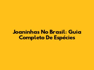 Joaninhas No Brasil: Guia Completo De Espécies