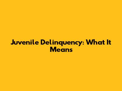 Juvenile Delinquency: What It Means