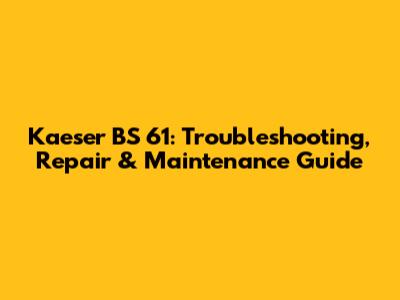 Kaeser BS 61: Troubleshooting, Repair & Maintenance Guide