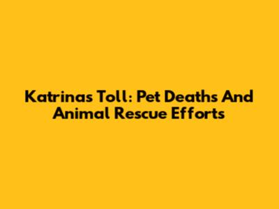 Katrina's Toll: Pet Deaths And Animal Rescue Efforts