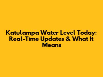 Katulampa Water Level Today: Real-Time Updates & What It Means