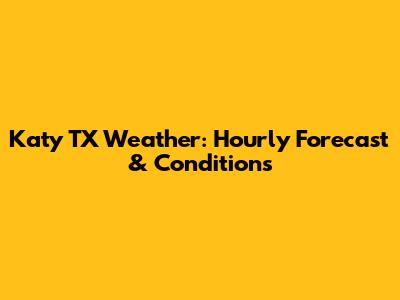 Katy TX Weather: Hourly Forecast & Conditions