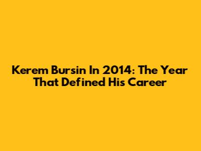 Kerem Bursin In 2014: The Year That Defined His Career