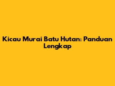 Kicau Murai Batu Hutan: Panduan Lengkap