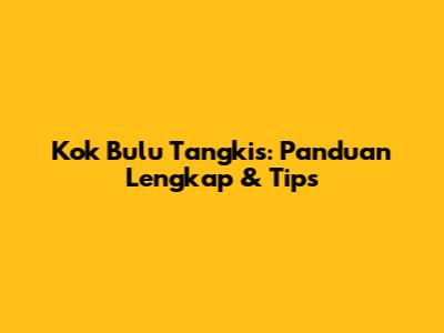 Kok Bulu Tangkis: Panduan Lengkap & Tips