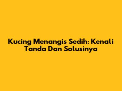 Kucing Menangis Sedih: Kenali Tanda Dan Solusinya