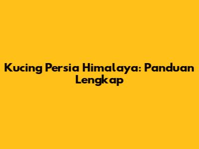 Kucing Persia Himalaya: Panduan Lengkap