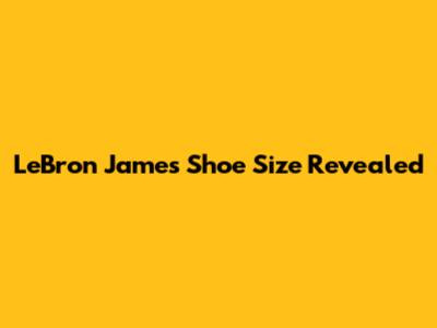 LeBron James' Shoe Size Revealed