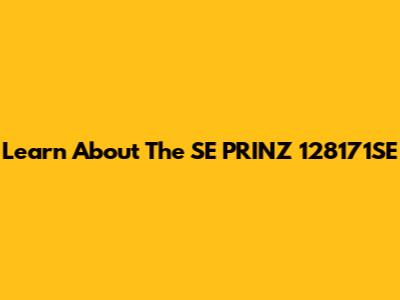 Learn About The SE PRINZ 128171SE