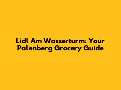 Lidl Am Wasserturm: Your Palenberg Grocery Guide