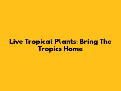 Live Tropical Plants: Bring The Tropics Home