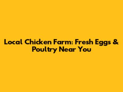 Local Chicken Farm: Fresh Eggs & Poultry Near You