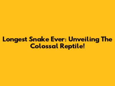 Longest Snake Ever: Unveiling The Colossal Reptile!