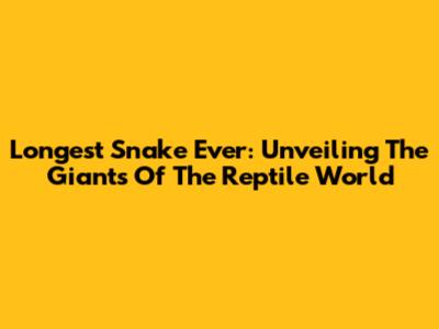 Longest Snake Ever: Unveiling The Giants Of The Reptile World