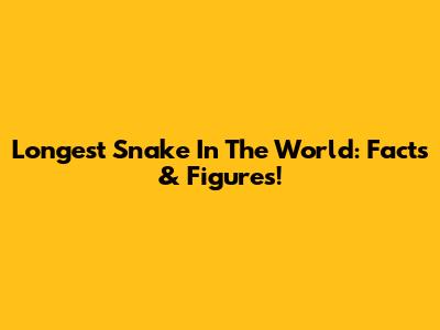 Longest Snake In The World: Facts & Figures!