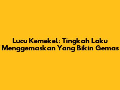 Lucu Kemekel: Tingkah Laku Menggemaskan Yang Bikin Gemas