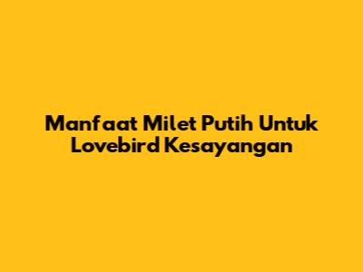 Manfaat Milet Putih Untuk Lovebird Kesayangan
