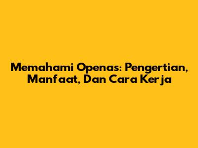 Memahami Openas: Pengertian, Manfaat, Dan Cara Kerja