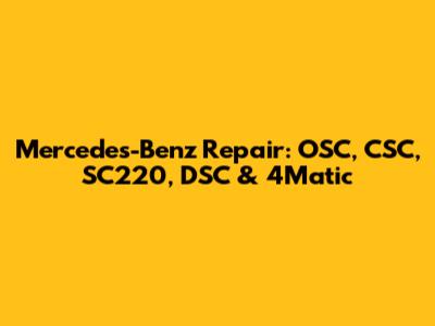Mercedes-Benz Repair: OSC, CSC, SC220, DSC & 4Matic