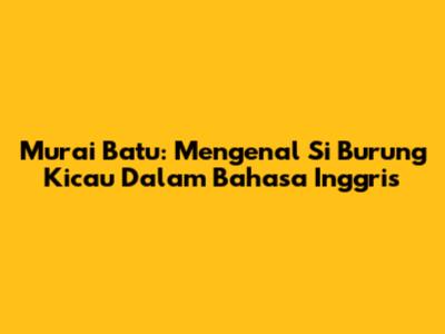 Murai Batu: Mengenal Si Burung Kicau Dalam Bahasa Inggris