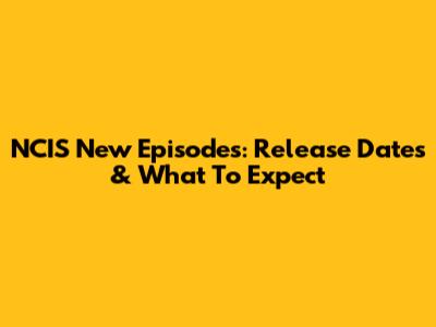 NCIS New Episodes: Release Dates & What To Expect