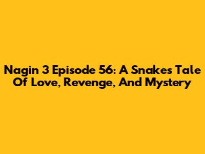 Nagin 3 Episode 56: A Snake's Tale Of Love, Revenge, And Mystery