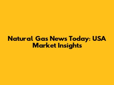 Natural Gas News Today: USA Market Insights