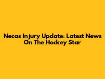 Necas Injury Update: Latest News On The Hockey Star