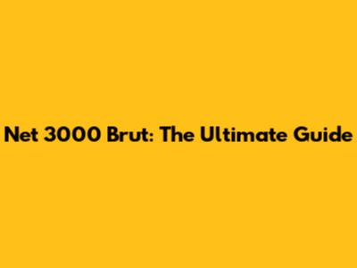 Net 3000 Brut: The Ultimate Guide