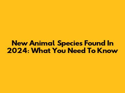 New Animal Species Found In 2024: What You Need To Know