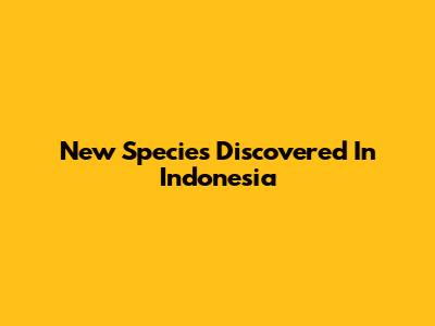New Species Discovered In Indonesia