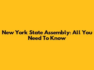 New York State Assembly: All You Need To Know