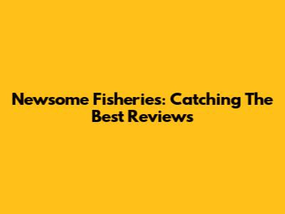 Newsome Fisheries: Catching The Best Reviews