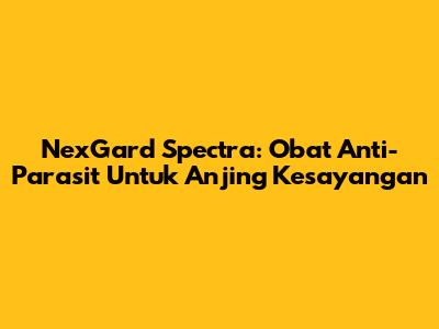 NexGard Spectra: Obat Anti-Parasit Untuk Anjing Kesayangan