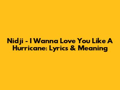 Nidji - I Wanna Love You Like A Hurricane: Lyrics & Meaning