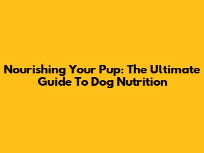 Nourishing Your Pup: The Ultimate Guide To Dog Nutrition