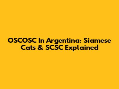 OSCOSC In Argentina: Siamese Cats & SCSC Explained