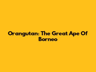Orangutan: The Great Ape Of Borneo