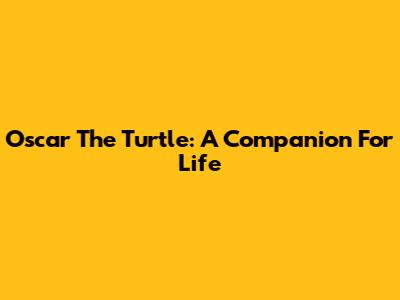 Oscar The Turtle: A Companion For Life