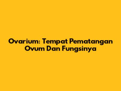Ovarium: Tempat Pematangan Ovum Dan Fungsinya
