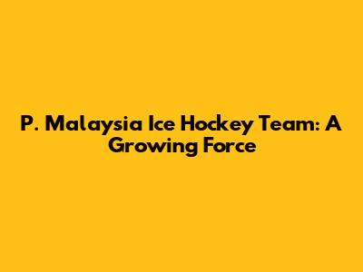 P. Malaysia Ice Hockey Team: A Growing Force