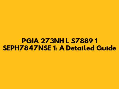 PGIA 273NH L S7889 1 SEPH7847NSE 1: A Detailed Guide