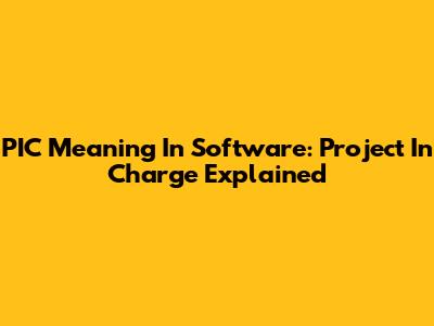 PIC Meaning In Software: Project In Charge Explained