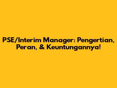 PSE/Interim Manager: Pengertian, Peran, & Keuntungannya!